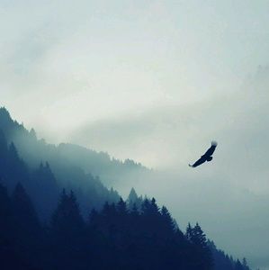 Meet your Posher, Frank